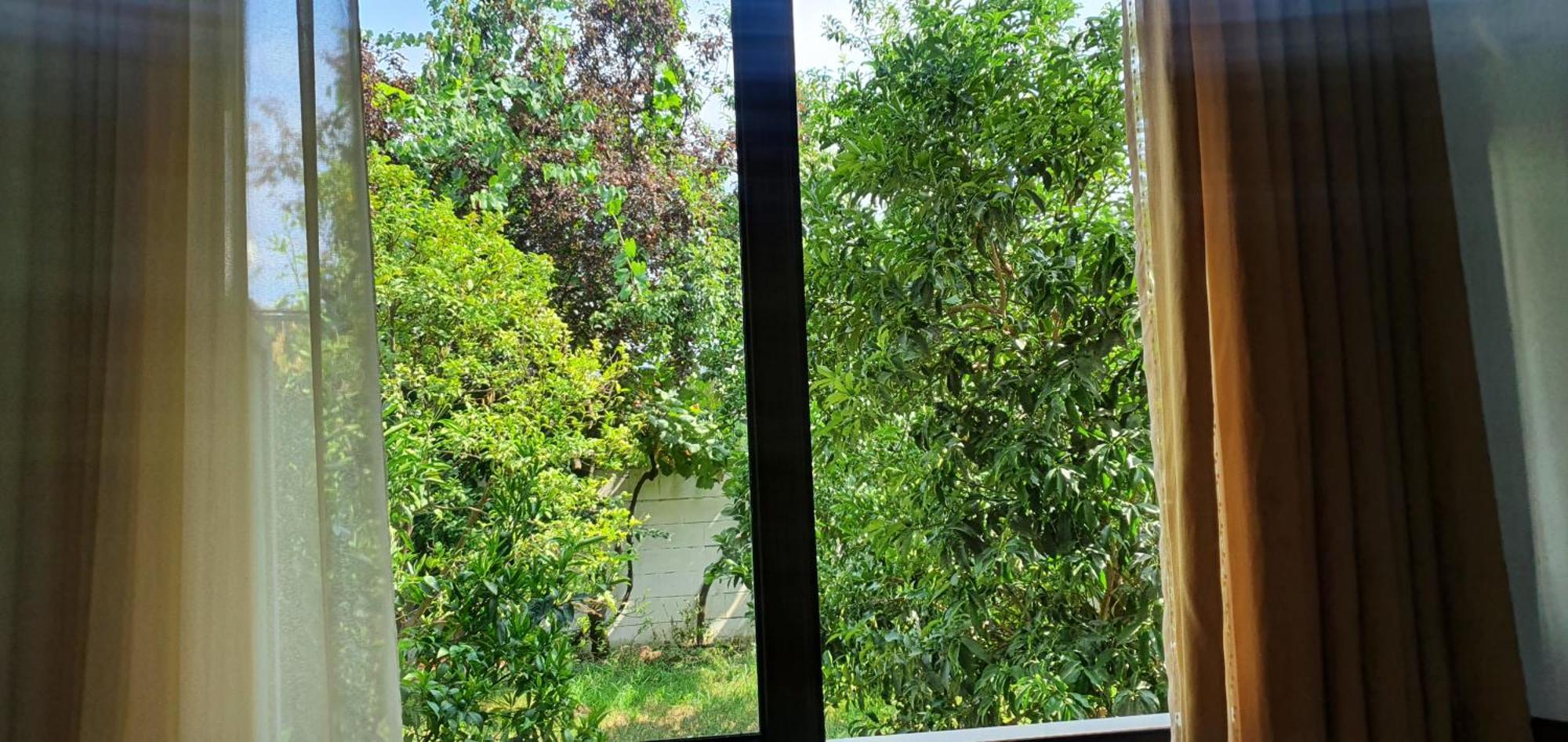 Xho'S Forest Guest House Berat Rum bild
